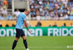 爱游戏-尤文关键一役惨遭绝杀，球迷难掩失望，科技研究来自男人.